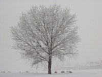 Panorama 817 (185986 bytes - 1024x768)