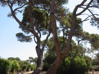 Panorama 1079 (146147 bytes - 1024x768)