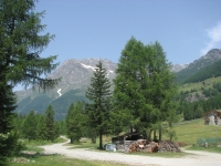 Panorama 1554