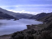 Panorama 182 (70475 bytes - 800x600)