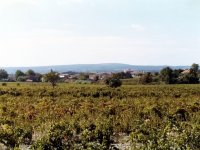 Panorama 229 (177393 bytes - 1024x768)