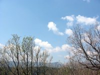 Panorama 362 (236756 bytes - 1024x768)
