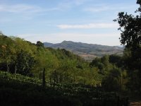 Piemonte - 1024x768