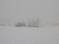 Panorama 725 (58838 bytes - 1024x768)