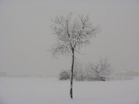 Panorama 726 (85484 bytes - 1024x768)