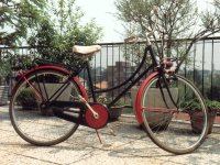  Bicicletta - 1024x768