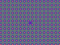 Frattali 364 (290839 bytes - 1024x768)